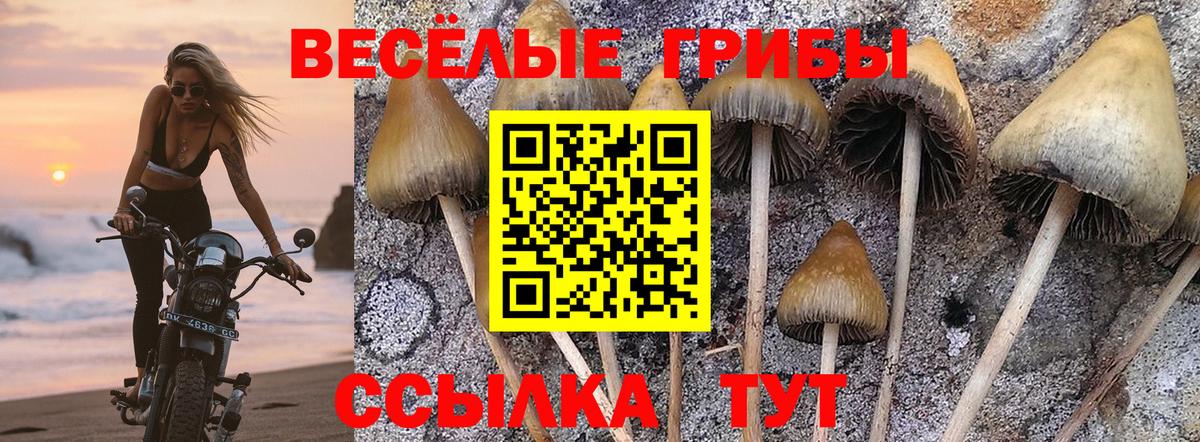 Галлюциногенные грибы MAGIC MUSHROOMS  Вход с VPN  Луховицы  Псилоцибиновые грибы ЛСД 